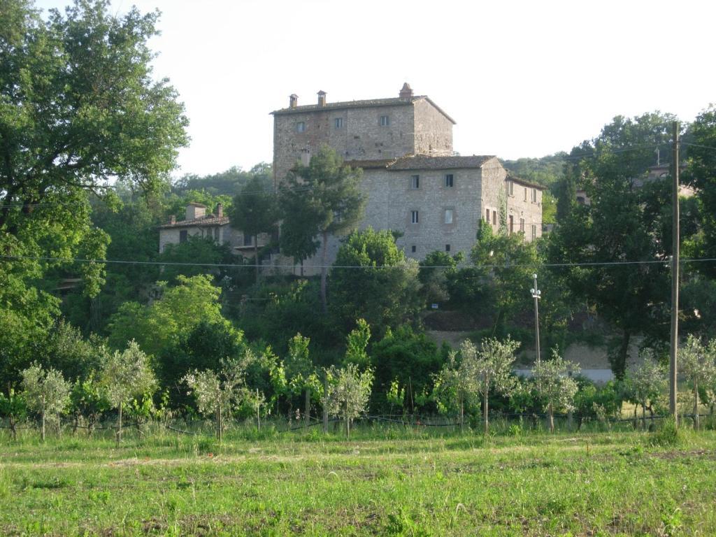 Gli Appartamenti Di Torre Bertona โตดี ห้อง รูปภาพ